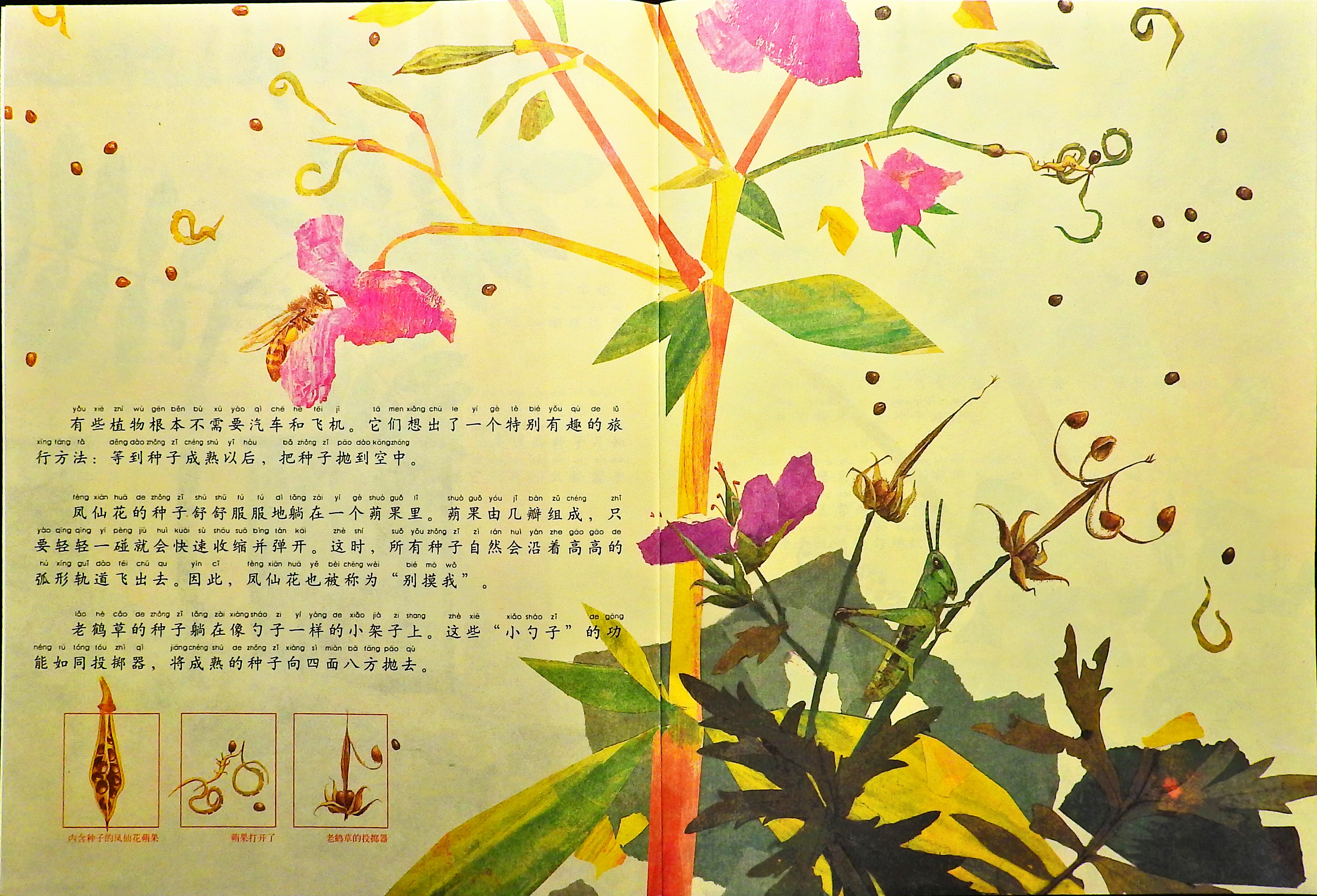 一粒种子的旅行 (05),绘本,绘本故事,绘本阅读,故事书,童书,图画书,课外阅读